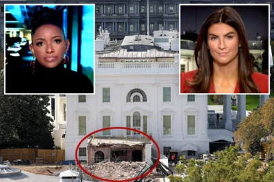 Rep. Jasmine Crockett Clashes with CNN Host Over Trump’s East Wing Renovation Amid Government Shutdown Backlash