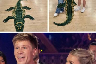 Robert Irwin’s Tearful DWTS Rehearsal Surprise: Handmade Rug Honors Family Legacy