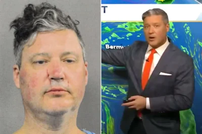 A trusted weatherman’s dark secret explodes—allegedly attacking his girlfriend, Patty Dinh, while her kids slept nearby. What sparked the violent festival fight that led to his arrest? The shocking betrayal hits hard