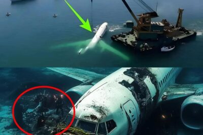 Groundbreaking Revelation: Shocking New Evidence Emerges in MH370 Disappearance Mystery
