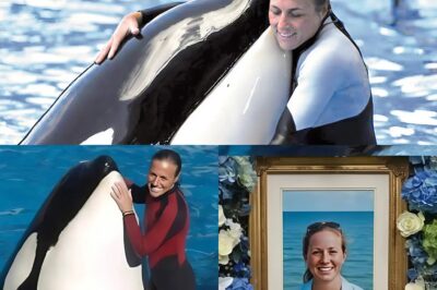 Leaked Footage of SeaWorld Trainer Jessica Radcliffe’s Fatal Orca Attack Exposes Chilling Final Moments