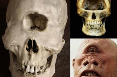 Cyclops Fossil Unearthed: Indonesia’s One-Eyed Monster Resurfaces from Myth