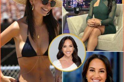 Emily Compagno’s INCREDIBLE RISE From Criminal Defense Attorney To MEDIA ICON — A Fearless Journey That’s Redefining What LEGACY Truly Means