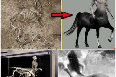 Centaur Bones Unearthed: Did Greece’s Mythical Beasts Walk Among Us?