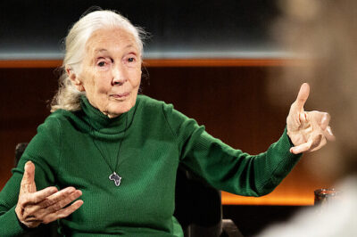 In her final moments on camera, the legendary conservationist shared a message that cuts through the chaos: a beacon of hope urging us to fight apathy and act for a better world. What profound wisdom did she leave behind for humanity’s darkest hours