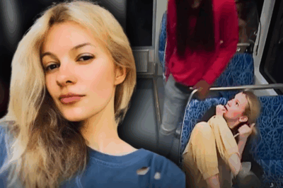 Why Iryna Zarutska? The final chilling mystery behind the mur:der of a lone woman on a crowded train is revealed
