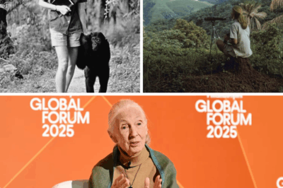 From Gombe’s Shadows to Global Stages: Jane Goodall’s Enduring Quest for a Sustainable World