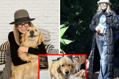 Diane Keaton’s Final Instagram Post: A Joyful Snapshot with Dog Reggie, Capturing Her Vibrant Spirit Months Before Sudden Death