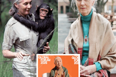 The Eternal Flame of Hope: Jane Goodall’s Unyielding Legacy of Compassion and Revolution in a World She Loved to Her Last Breath