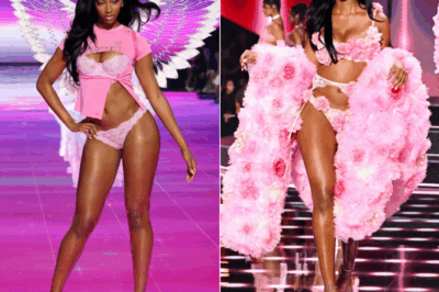 WNBA Sensation Angel Reese Ignites the Victoria’s Secret Stage with Ethereal Pink Wings and a Scorching Hot Bikini, Unveiling a Bold, Unstoppable Transformation That Will Leave You Breathless!