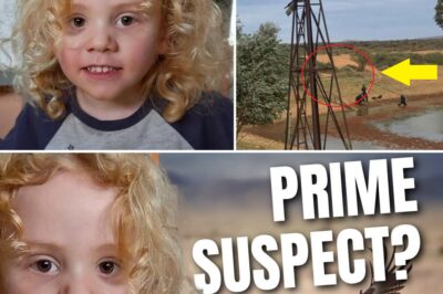 Gus Lamont Disappearance: New Evidence Fuels Wild Animal Theory in Heartbreaking Outback Mystery