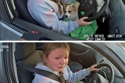 Texas 12-Year-Old Drives Mom’s Car to Save Dying Puppy — Cop Takes Over, Rushes Pup to Vet in Viral Mercy Run