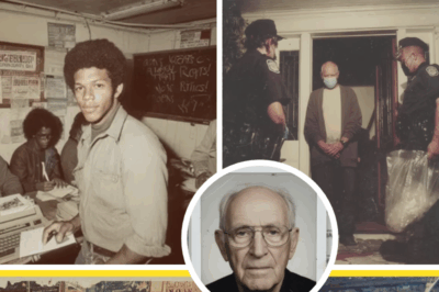 The Alistair City Museum Horror: A Curator’s Discovery Exposes a 50-Year-Old Murder