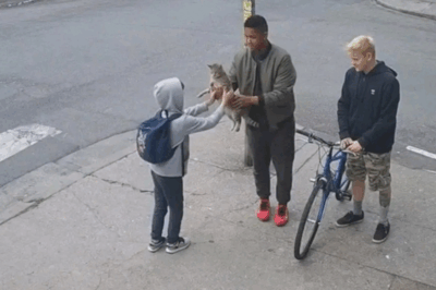 Boy Ditches School, Trades Bike to Save Tormented Stray Cat — Then Walks Miles to Vet in Viral Act of Kindness That Nets Him New Ride