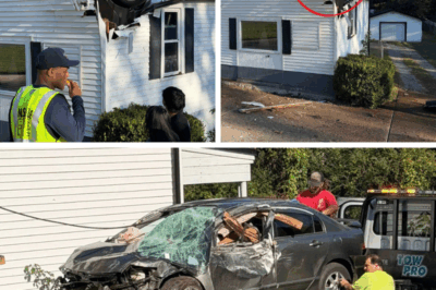 Homeowner After Crash Demands Guardrails on Smith Springs Road