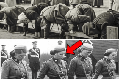 80-Year-Old Nazi Photograph Sparks Global Mystery After Experts Discover the Unthinkable