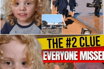 🕵️‍♀️ Experts Are in Chaos Over New Gus Lamont Evidence — Was His Disappearance a Setup?