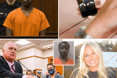 💔😡 Repeat Offender Walks Free — Then Murders 22-Year-Old Logan Federico 😭 AG Wilson Says ‘This Case Screams for Capital Punishment’ ⚖️🔥