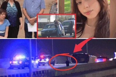 😢 A Teen’s American Dream Ended in Screeching Tires. Now Her Family Just Wants to Bring Her Home 🕯️ #JusticeForSulmy