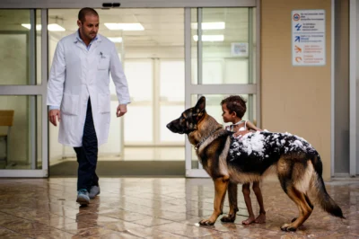 No One Expected What Walked Through the ER Doors That Night — A Soaked Dog, a Silent Child, and a Miracle That Brought the World to Tears 🐶👧