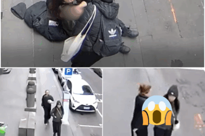 😱💔 Morning Chaos in Philly! Shocking Video Captures Moment Woman Is Stabbed in Random Attack on Her Way to the Office