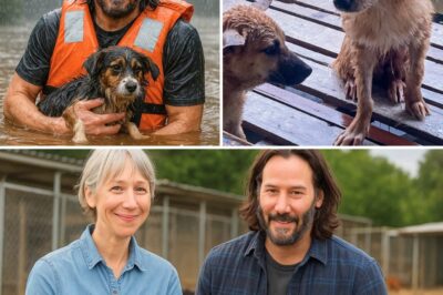 🐕💔 From John Wick to Real-Life Savior: Keanu Reeves Quietly Rescues 40 Lost Dogs After Flood Areas and Builds Them a Sanctuary That’ll Break You 😭🔥