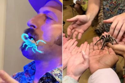 LA Birthday Party Turns Viral Sensation After Bug Expert Unleashes Tarantulas, Scorpions, and Millipedes, Leaving 15 Guests Screaming