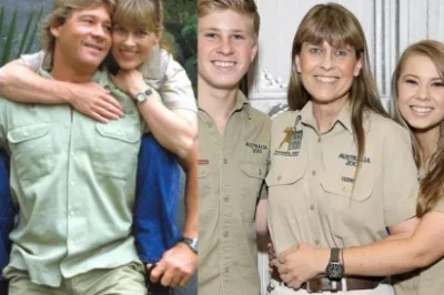 Terri Irwin Vows Eternal Loyalty to Late ‘Crocodile Hunter’ Steve: ‘No Dates, No Interest’ After 18 Years