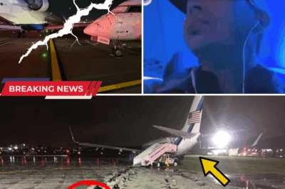 Latest information on the collision of two jet planes on the runway of LaGuardia airport – The pilot’s mistake put the lives of hundreds of passengers on the verge of death✈️