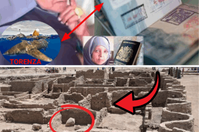 Lost City of Torenza Unearthed: Mysterious Ancient Passport Links Forgotten Empire to JFK Airport in 2025!