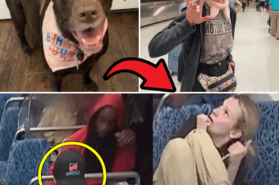 Midnight’s Desperate Howls: Did Loyal Dog Teddy’s Three Heart-Wrenching Barks Foresee His Beloved Owner Iryna Zarutska’s Brutal Murder on a Crowded Train? A Shattered Soul’s Final Warning or Eerie Coincidence That Will Chill You to the Bone?