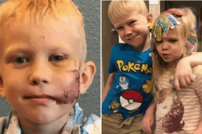 Wyoming Boy, 6, Takes Vicious Dog Attack to Shield Toddler Sister — Needs 90 Stitches, Wins Captain America Shield and Global Praise in Viral Hero Tale