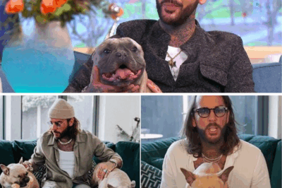 Strictly’s Bad Boy Pete Wicks Unveils Heart-Shattering ‘Life-Changing’ Dog Rescue Docuseries That Left Him in Tears – A Passion Project He’s Dreamed of for a Decade, Exposing the Hidden Tears and Triumphs of UK’s Forgotten Canines… And It Premieres Tonight – Will You Dare to Watch?🐶💔
