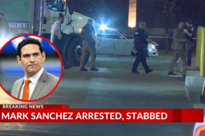 From gridiron hero to felony fallout—how did a simple parking spat turn ex-QB Mark Sanchez into the aggressor facing years behind bars? Chilling details from the alley brawl that shocked Indy