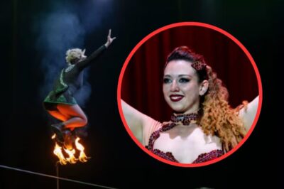 Ralf Huppertz, CEO of the Association of German Circus Companies, expressed the industry’s disbelief: “It’s unusual for a well-trained artist like Marina to not survive a fall from just five meters.” Are there any other possible causes in this incident?