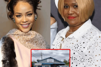 From rags to riches: Rihanna’s mom recalls the restaurant owner who fed them for years during hard times—until she bought the building and handed him an $87,000 check. The sign she hung? It left him trembling and turned a humble spot into legend. What’s the message that echoes kindness forever?