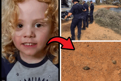 Desperate Hunt Continues for 4-Year-Old Boy in Australian Outback, Vanished Six Days Ago with One Haunting Clue