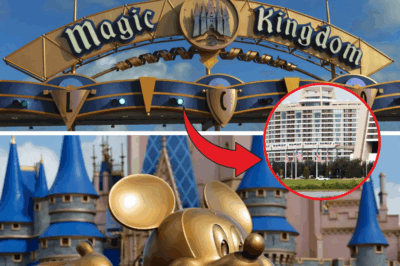 Cause of Death Revealed for Body Found at Walt Disney World