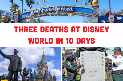 Shadows Over the Kingdom: Disney World’s Deadly October and the Veil of Silence