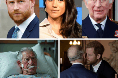 Harry & Meghan Suffer Sudden Loss Months After He Revealed He Didn’t ‘Know How Much Longer’ Charles Had Left to Live
