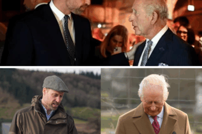 Why Prince William Is “Deeply Unhappy” With King Charles Right Now