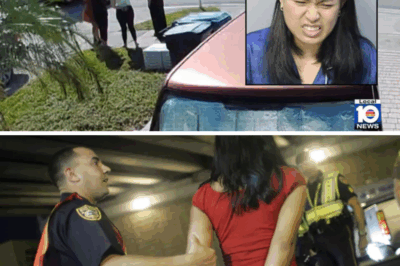 A Deadly Betrayal: The Stabbing of a Sister Over a Simple Phone Glance