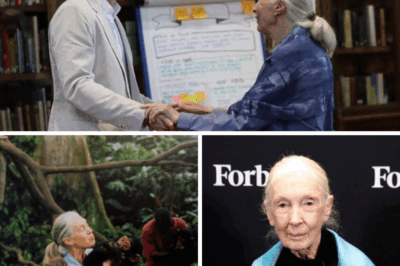 A Legacy in Leaves and Laughter: Prince Harry and Meghan Markle’s Heartfelt Farewell to Dr. Jane Goodall