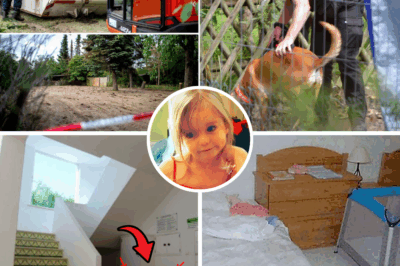 Shadows in Apartment 5A: The Lingering Mystery of Madeleine McCann’s Disappearance