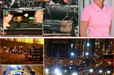 Shadows in the Tunnel: A Courier’s Confession and the Lingering Enigma of Diana’s Final Moments