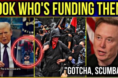 Elon Musk’s Explosive Revelation: The ‘True Culprit’ in Charlotte Train Stabbing Ignites National Fury Over Repeat Offenders