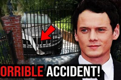 In June 2016, actor Anton Yelchin, known for his role as Chekov in the Star Trek reboot series, tragically lost his life at just 27 years old. His Jeep Grand Cherokee rolled backward down a hill, pinning him between a pillar and a fence. Yelchin’s family filed a lawsuit against the car manufacturer, alleging that a factory defect in the vehicle’s gear-shifting mechanism caused the accident. The family reached a confidential settlement with Fiat Chrysler