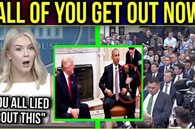 Karoline Leavitt’s Bombshell DOGE Revelation: A Deep Dive into Government Waste and the Fight to Rein It In