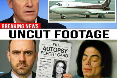 Inside the Abandoned Skies: Unsealing Michael Jackson’s Private Jet and the Haunting Legacy It Reveals