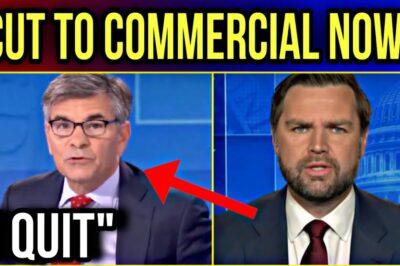 ABC Anchor’s On-Air Eruption: JD Vance’s Takedown Ignites Fury Over Media Credibility and the Homan Bribery Saga